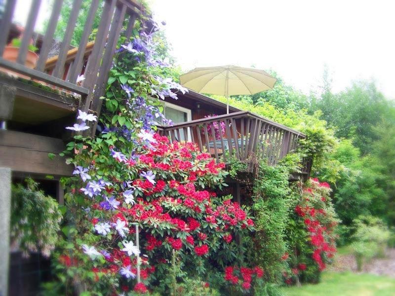 Misty Valley Inn Forks Extérieur photo